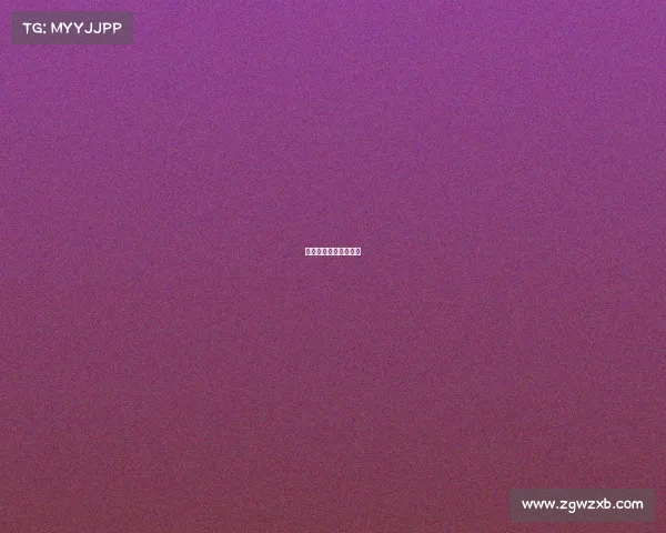 关于承办赛事的申请书