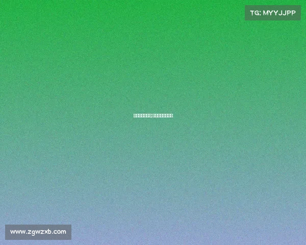 足球队赛事报告;足球赛事总结报告